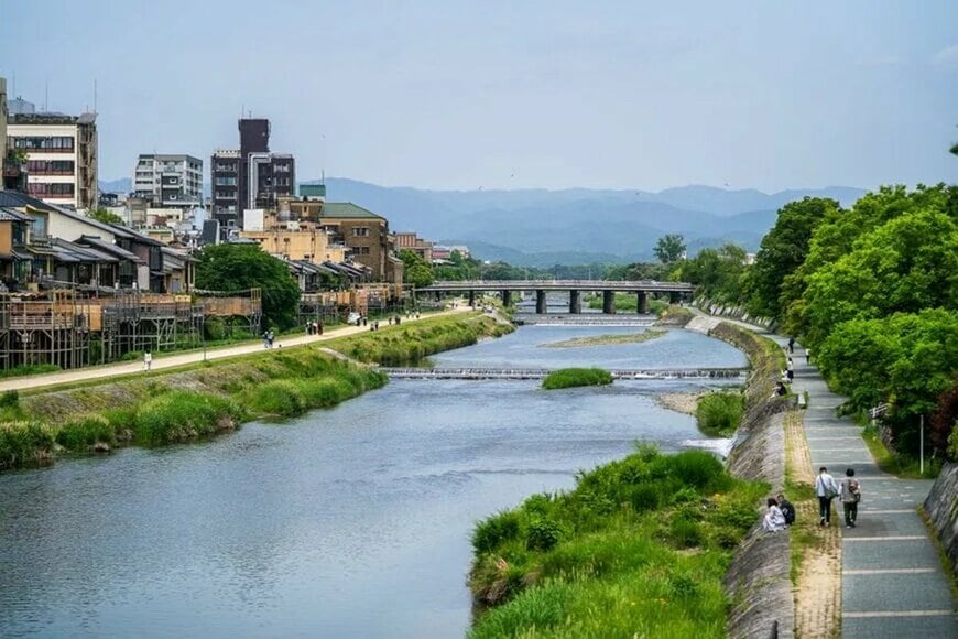 京都・鴨川で鹿と遭遇 街中を歩く意外な光景に「もしかして奈良から?」「街は危ない」