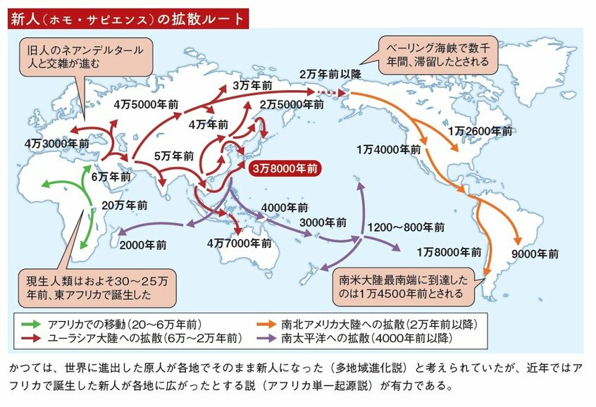 かつては、世界に進出した原人が各地でそのまま新人になったと考える「多地域進化説」が主流だったが、近年は、アフリカで誕生した新人が各地に広がったとする「アフリカ単一起源説」が有力だ／『だからわかる　新・古代史』より／図版　ウエイド