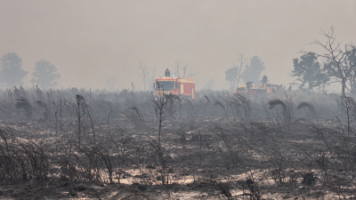 山火事がフランス・ボルドー市街地に迫る 住民避難は過去最多に