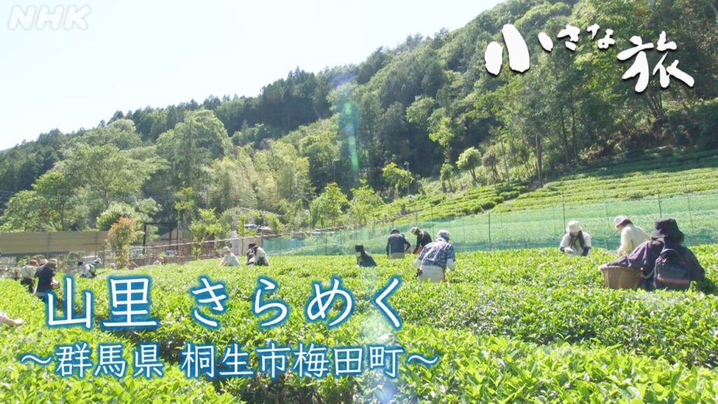 【小さな旅】群馬県 桐生市梅田町/町が誇る「梅田茶」 江戸時代から続く「和紙作り」 祖父母が残した「地域の商店」… 山里の宝を守る人々に出会う旅 【小さな旅】群馬県 桐生市梅田町/町が誇る「梅田茶」 江戸時代から続く「和紙作り」 祖父母が残した「地域の商店」… 山里の宝を守る人々に出会う旅