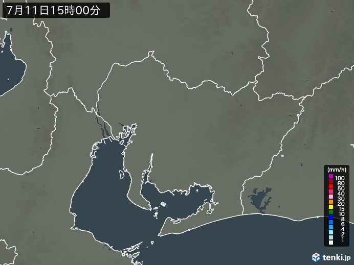 愛知県の過去の雨雲レーダー(2026年07月11日) – 日本気象協会 tenki.jp 愛知県の雨雲レーダー(2026年07月11日)