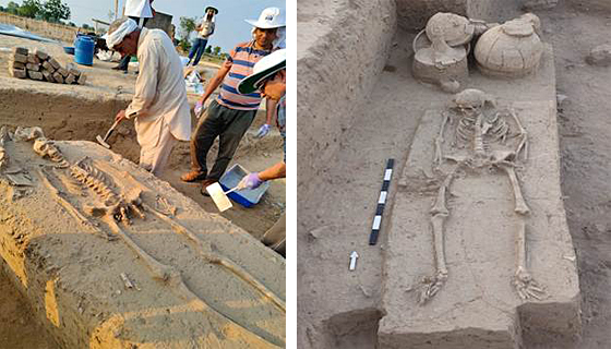 インダス文明最大級ラキガリ人骨を古代DNA解析へ インド|インド科学技術ニュース|Science Portal India インドの科学技術の今を伝える