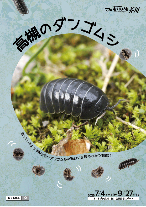 高槻市-身近な生き物「ダンゴムシ」が主役の企画展を開催 | City Life NEWS
