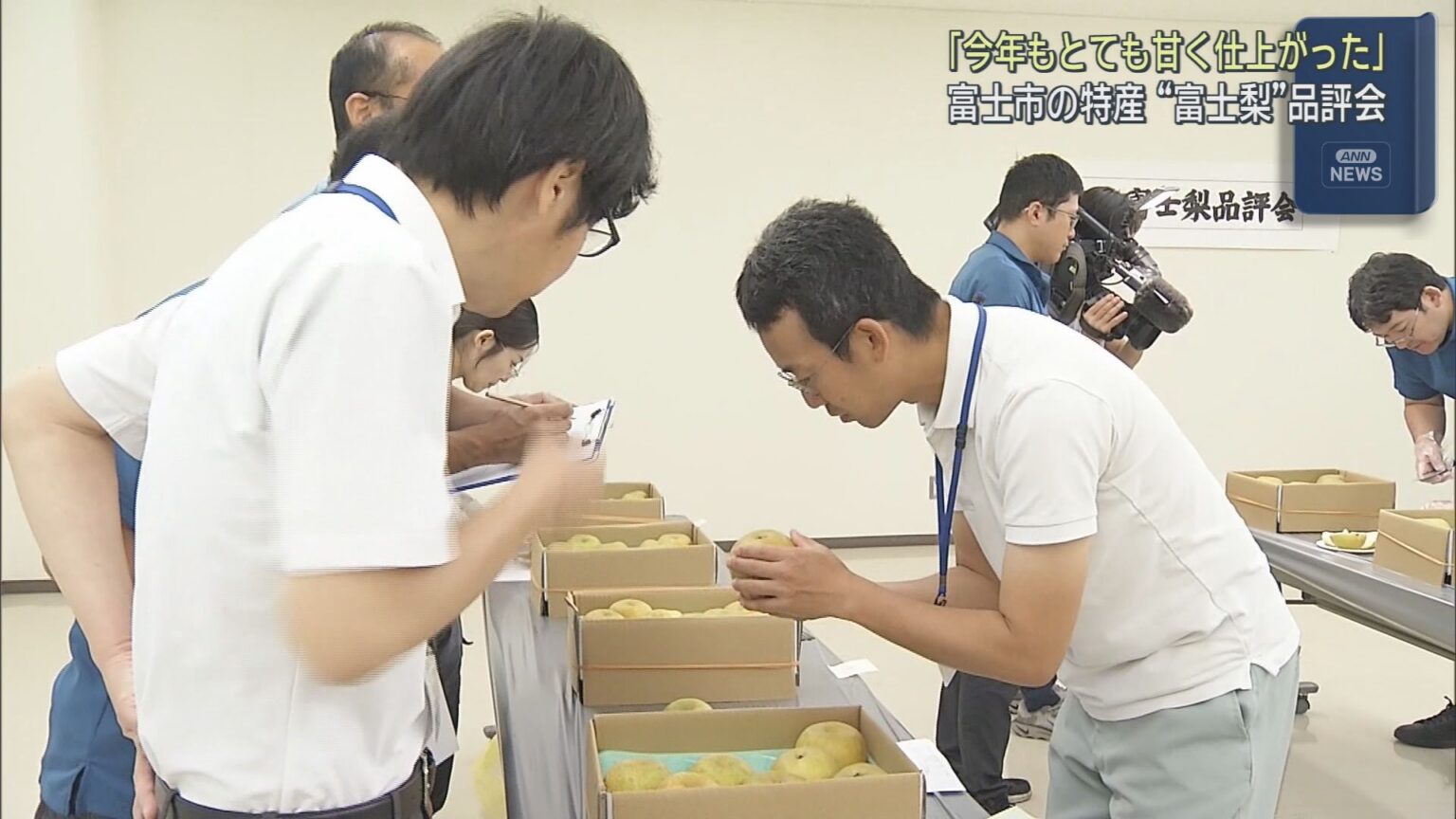 特産品「富士梨」の品評会が開かれる　深い甘みとみずみずしくシャリシャリした食感が特徴　静岡・富士市 - LOOK 静岡朝日テレビ