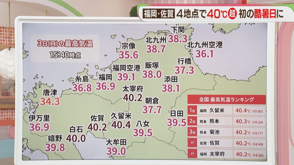 共有