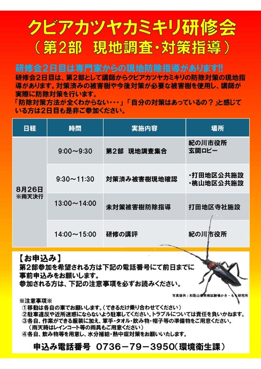 【特定外来生物】クビアカツヤカミキリ 市民・関係者向け研修会 - 和歌山経済新聞