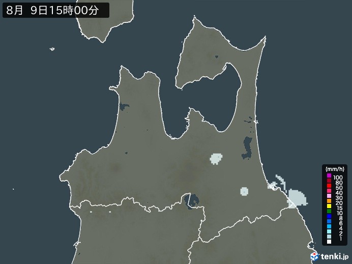 青森県の過去の雨雲レーダー(2026年08月09日) – 日本気象協会 tenki.jp 青森県の雨雲レーダー(2026年08月09日)
