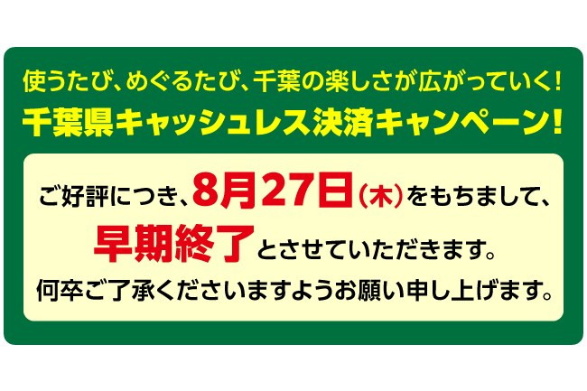 千葉県「キャッシュレス決済キャンペーン!」は27日終了に、予算到達で – ケータイ Watch 千葉県「キャッシュレス決済キャンペーン!」は27日終了に、予算到達で - ケータイ Watch