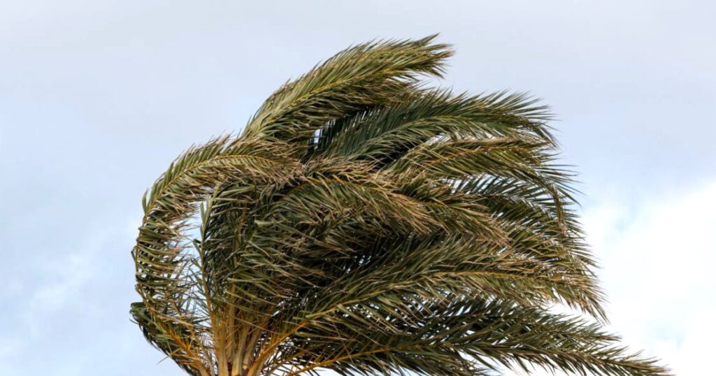 台風去ったが 那覇で最大瞬間風速17.6メートル きょう29日もやや強く 沖縄 台風去ったが 那覇で最大瞬間風速17.6メートル きょう29日もやや強く 沖縄