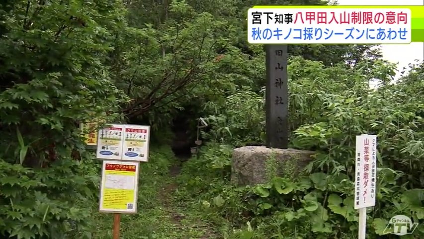 秋のキノコ採りシーズンに向けて 青森県 宮下宗一郎 知事がクマ対策として8月末にも再び八甲田山系への入山を制限するような措置を取る考え示す「国・市・警察と連携して」(ATV青森テレビ) – Yahoo!ニュース 秋のキノコ採りシーズンに向けて 青森県 宮下宗一郎 知事がクマ対策として8月末にも再び八甲田山系への入山を制限するような措置を取る考え示す「国・市・警察と連携して」(ATV青森テレビ) - Yahoo!ニュース