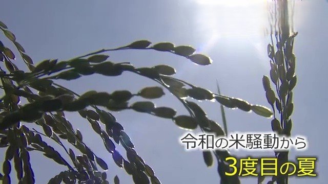 農家「早くやめた方が勝ち」新米の”買い取り価格”が急落 JA福井県コシヒカリ内金は60キロ1万7000円 「令和の米騒動」が生んだ「コメ余り」(FNNプライムオンライン) – Yahoo!ニュース 農家「早くやめた方が勝ち」新米の”買い取り価格”が急落 JA福井県コシヒカリ内金は60キロ1万7000円 「令和の米騒動」が生んだ「コメ余り」(FNNプライムオンライン) - Yahoo!ニュース