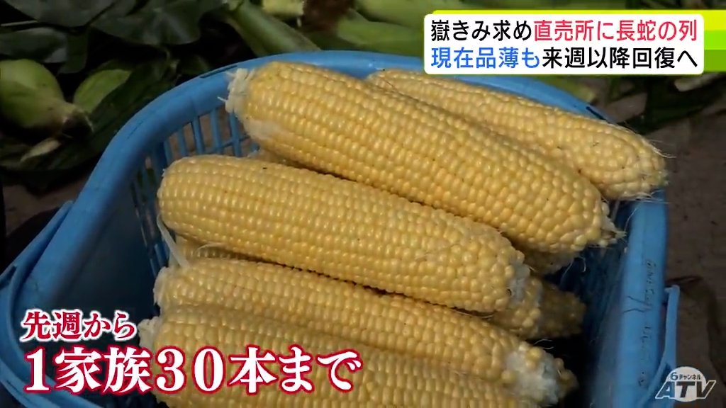 糖度メロン並の約18度ブランドトウモロコシ「嶽きみ」求めて 朝から150人以上の長蛇の列 今週は品薄で1家族30本までの販売制限も 収穫ピークは来週「焦らない方は来週のお買い求めを」岩木山の自然が生んだ旬の味(ATV青森テレビ) – Yahoo!ニュース 糖度メロン並の約18度ブランドトウモロコシ「嶽きみ」求めて 朝から150人以上の長蛇の列 今週は品薄で1家族30本までの販売制限も 収穫ピークは来週「焦らない方は来週のお買い求めを」岩木山の自然が生んだ旬の味(ATV青森テレビ) - Yahoo!ニュース