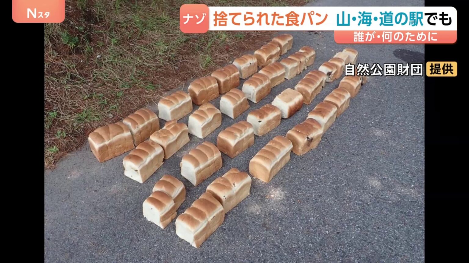 「すごい数だ…」鳥取・大山や白兎海岸に食パン39キロ不法投棄　謎の鶏肉も…誰が何のために？深まる謎（TBS NEWS DIG Powered by JNN）