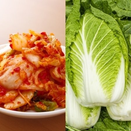 中国の発がん性物質つき白菜〉遺体保存用薬品まみれの野菜はどこへ？ キムチ用に大量輸入した韓国は大混乱、「対日輸出なし」もJA職員は「国産供給のチャンス」（集英社オンライン - Yahoo!ニュース