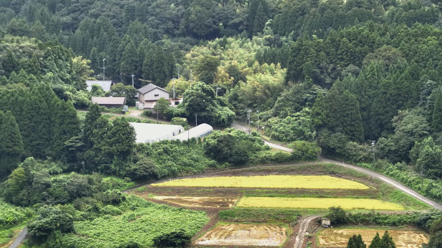 石川・白山市の“飲用制限”解除 県内「孤立集落」は解消…60代女性搬送も命に別状なし(MRO北陸放送) – Yahoo!ニュース 石川・白山市の“飲用制限”解除 県内「孤立集落」は解消…60代女性搬送も命に別状なし(MRO北陸放送) - Yahoo!ニュース