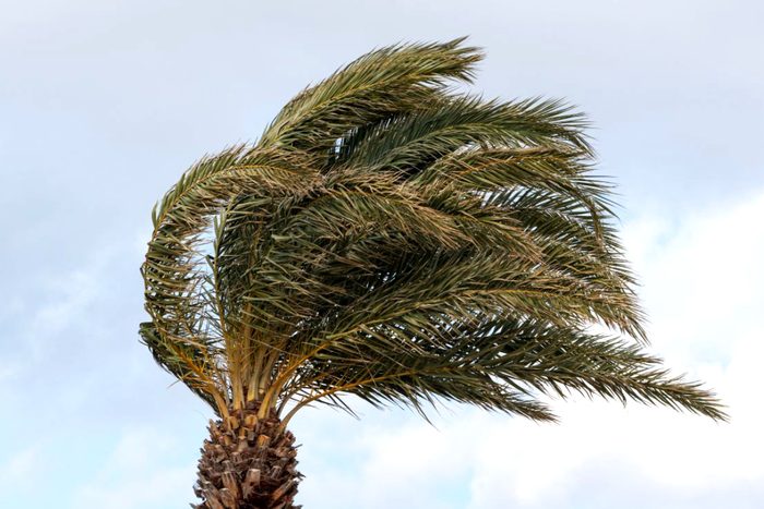 台風去ったが 那覇で最大瞬間風速17.6メートル きょう29日もやや強く 沖縄