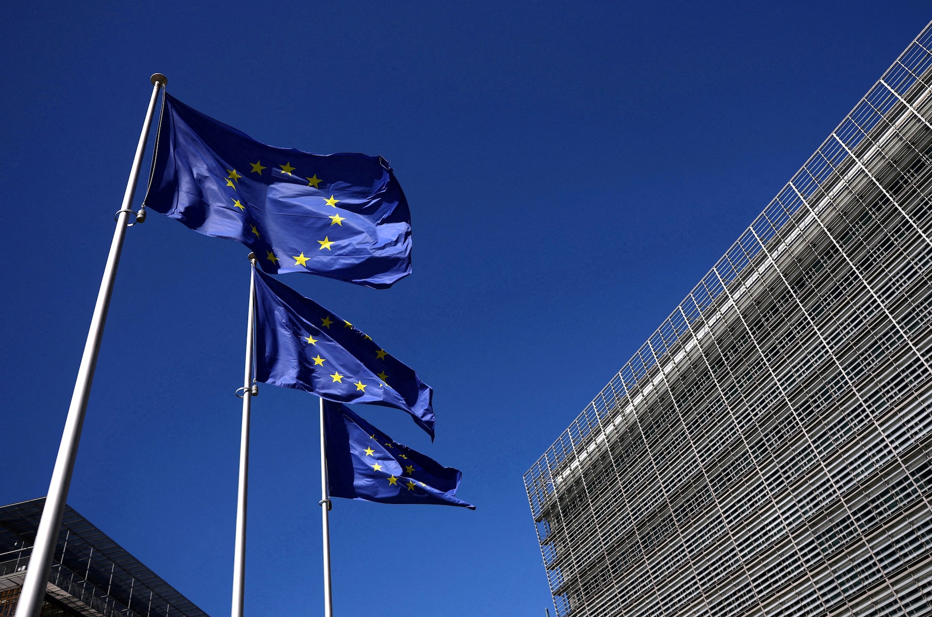 欧州連合(EU)の旗