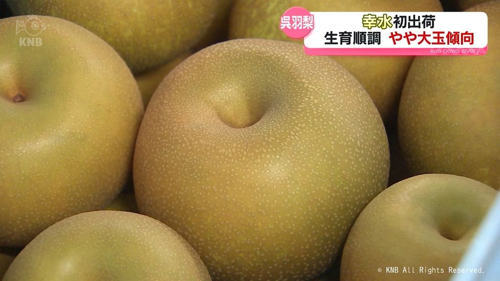 共有