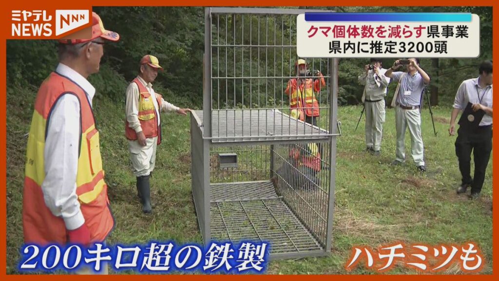 クマ駆除へ川崎町に箱わな設置 県内390頭捕獲の方針<宮城・川崎>(2026年8月19日掲載)|ミヤテレNEWS NNN 共有