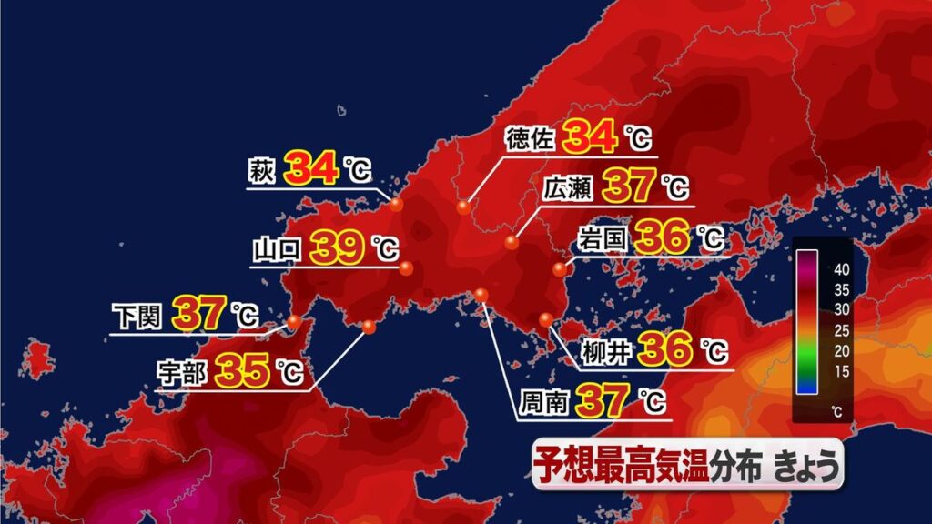 共有