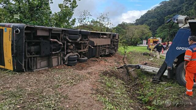 ブラジル山岳地帯でバス横転 女性や女児ら10人死亡