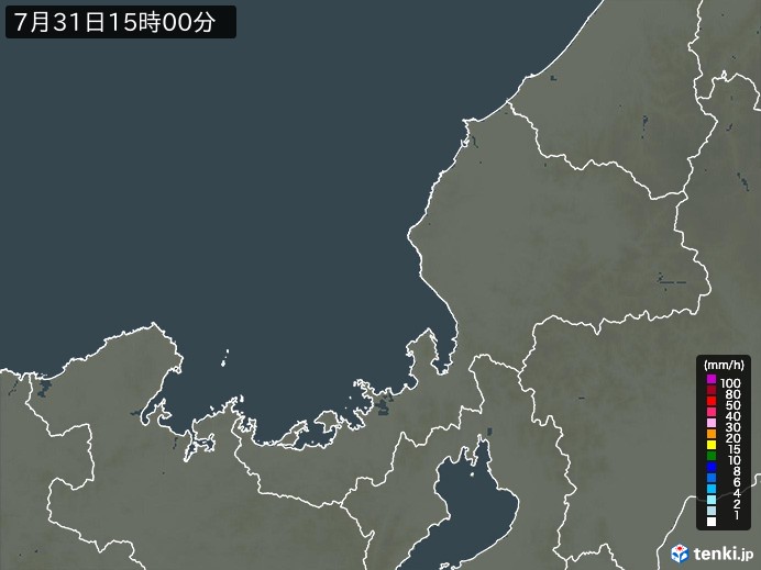 福井県の過去の雨雲レーダー(2026年07月31日) – 日本気象協会 tenki.jp 福井県の雨雲レーダー(2026年07月31日)