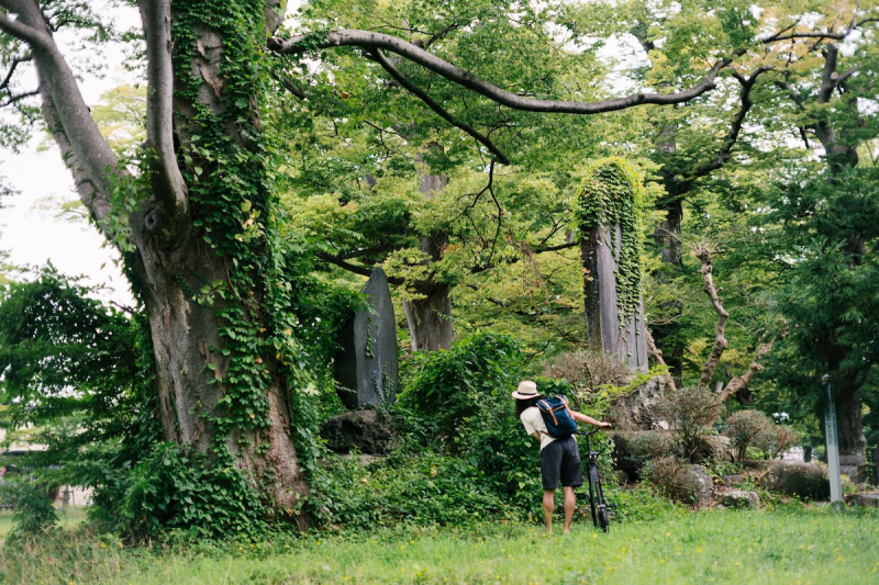 ダルマ自転車がゆく! 第10回 @ 薬師公園