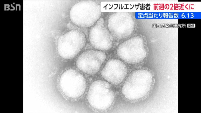 新潟県内のインフル前週の2倍近くに 五泉市の医薬品製造会社 デンカがワクチンを初出荷(BSN新潟放送)|dメニューニュース(NTTドコモ) 新潟県内のインフル前週の2倍近くに 五泉市の医薬品製造会社 デンカがワクチンを初出荷
