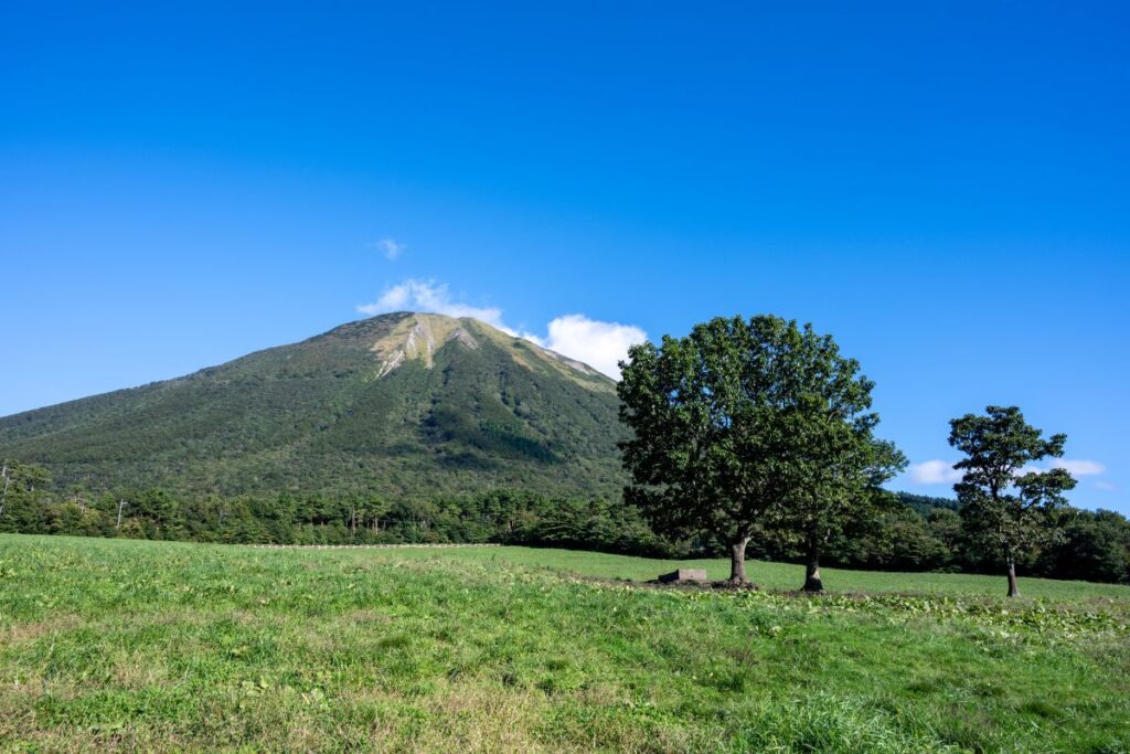 「え?馬!?」鳥取県大山町で発見された「馬注意」の看板 実は本当に目撃される珍しいエリアだった | LIMO | くらしとお金の経済メディア 「え?馬!?」鳥取県大山町で発見された「馬注意」の看板 実は本当に目撃される珍しいエリアだった | LIMO | くらしとお金の経済メディア