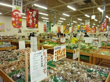 【福井県】大規模700㎡の直売所から、手づくりおはぎで大人気の直売所も! ファーマーズマーケット2選