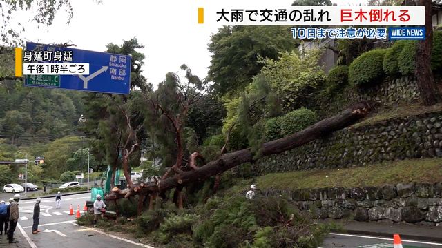 大雨の影響で身延山久遠寺の巨木倒れる 交通網に乱れ 早川町は一時“孤立状態” 山梨(YBS山梨放送) – Yahoo!ニュース 大雨の影響で身延山久遠寺の巨木倒れる 交通網に乱れ 早川町は一時“孤立状態” 山梨(YBS山梨放送) - Yahoo!ニュース