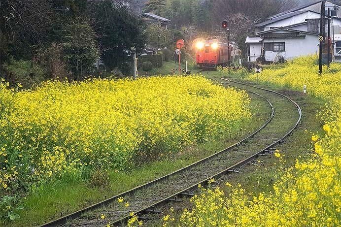 小湊鉄道 里見付近（永尾洋一撮影）