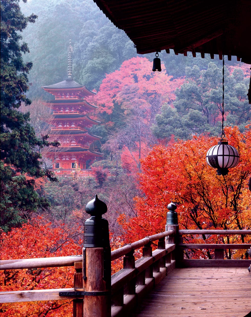 長谷寺 長谷寺