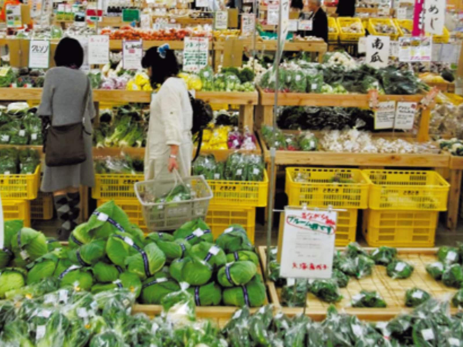 ポケットファームどきどき つくば牛久店