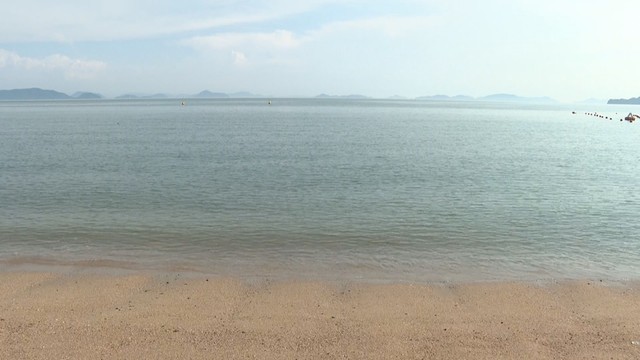岡山県沿岸で夏季10隻が船舶事故　半数以上がプレジャーボート　事故発生状況まとめ - ライブドアニュース
