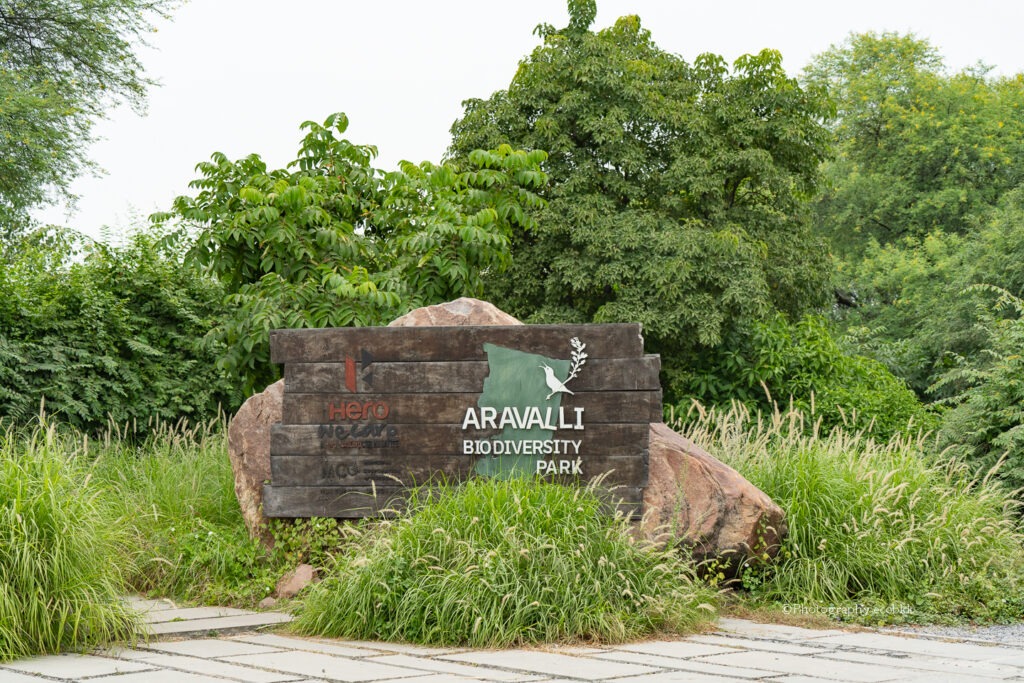 【インド】デリー首都圏グルグラムにあるアラバリ・バイオディバーシティー・パーク(Aravalli Biodiversity Park)を紹介 | 地球の歩き方 【インド】デリー首都圏グルグラムにあるアラバリ・バイオディバーシティー・パーク(Aravalli Biodiversity Park)を紹介 | 地球の歩き方