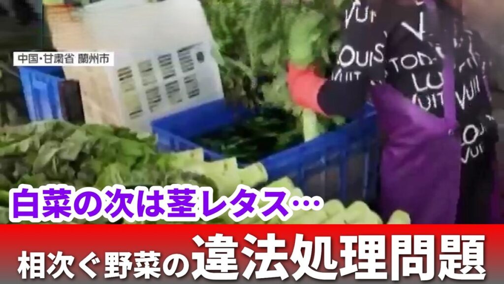 共有