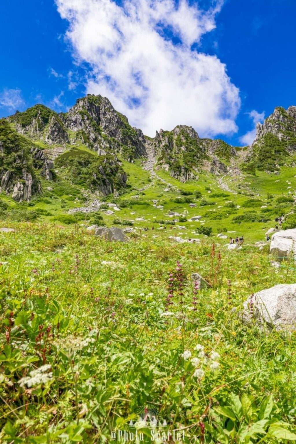 「海外みたい」と目を疑う4つの絶景 長野県で撮影した雄大な景色に「絶対行きたい」 | LIMO | くらしとお金の経済メディア 「海外みたい」と目を疑う4つの絶景 長野県で撮影した雄大な景色に「絶対行きたい」 | LIMO | くらしとお金の経済メディア