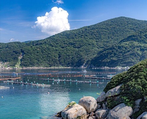 高知県・柏島で撮影された「海のグラデーション」 透き通る青い海に「美しい～！」「行ってみたい」