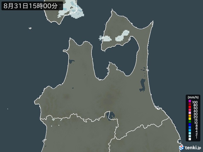 青森県の過去の雨雲レーダー(2026年08月31日) – 日本気象協会 tenki.jp 青森県の雨雲レーダー(2026年08月31日)