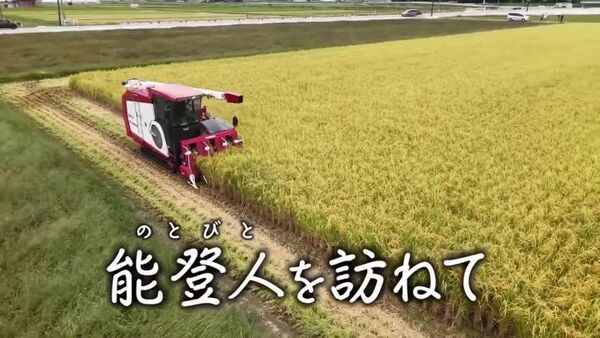 【能登人を訪ねて】#110 中能登豪雨から2ヵ月 トキ認証米の農家は今…濱田栄治さん | 石川テレビニュース 【能登人を訪ねて】#110 中能登豪雨から2ヵ月 トキ認証米の農家は今…濱田栄治さん | 石川テレビニュース