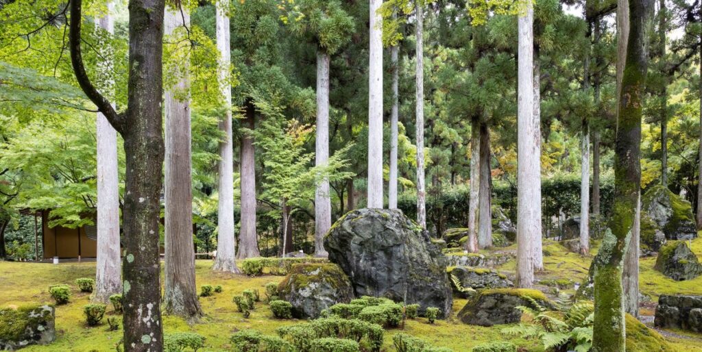 京都・鷹峯で新たな工芸の祭典『MOSS KOGEI Kyoto 2026』が開催 | ELLE DECOR [エル・デコ]
