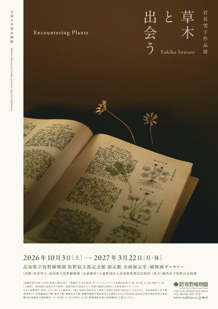 岩谷雪子 「草木と出会う−Encountering Plants」 (高知県立牧野植物園) |Tokyo Art Beat 岩谷雪子 「草木と出会う−Encountering Plants」 (高知県立牧野植物園) |Tokyo Art Beat
