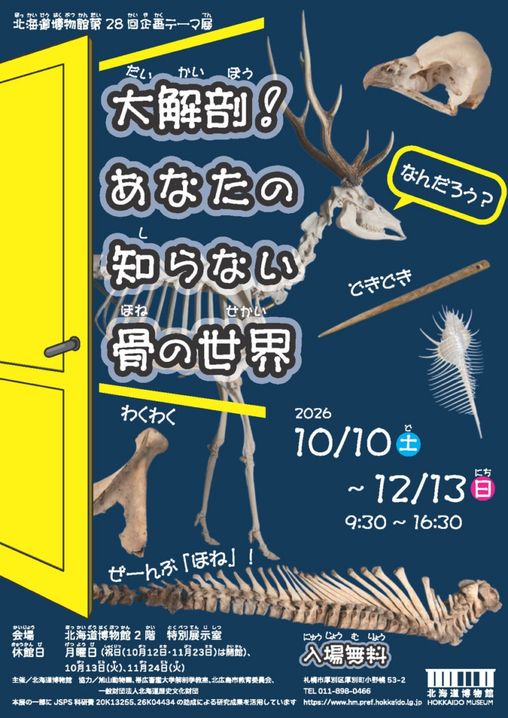 北海道博物館 第28回企画テーマ展「大解剖!あなたの知らない骨の世界」:2026年10月10日(土)~2026年12月13日(日)開催 | 北海道のプレスリリース 北海道博物館 第28回企画テーマ展「大解剖!あなたの知らない骨の世界」:2026年10月10日(土)~2026年12月13日(日)開催 | 北海道のプレスリリース