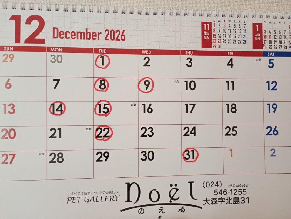 https://www.gurutto-fukushima.com/db_img/cl_img/836/news/images/app_ZF6kte_202610081144.jpg