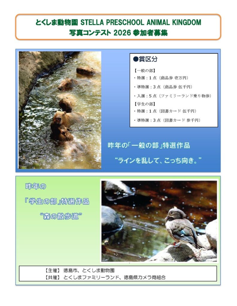 【徳島市】とくしま動物園STELLA PRESCHOOL ANIMAL KINGDOM 写真コンテスト2026 作品募集 【徳島市】とくしま動物園STELLA PRESCHOOL ANIMAL KINGDOM 写真コンテスト2026 作品募集
