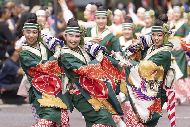 踊り手も観客も一体となって盛り上がる横浜の一大イベント