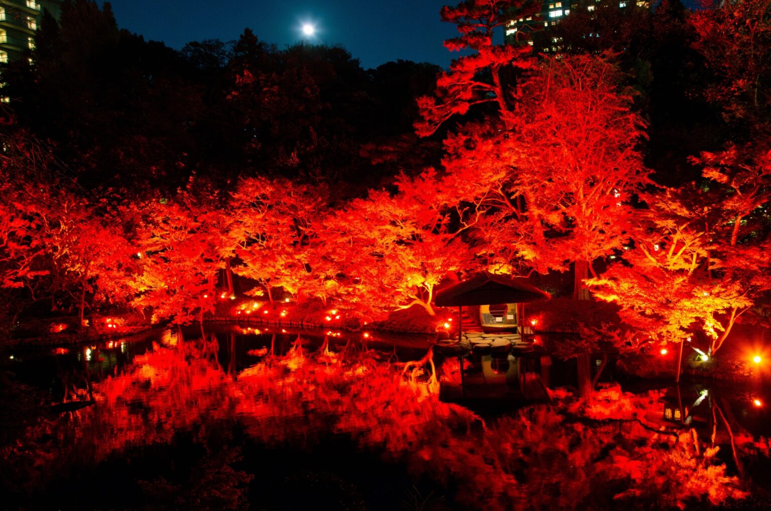 【11/27(金)~12/6(日)】広大な日本庭園を橙から赤に染めるイベント『TOKYO RED GARDEN 2026』開催 – ラブすぽ 【11/27(金)~12/6(日)】広大な日本庭園を橙から赤に染めるイベント『TOKYO RED GARDEN 2026』開催 - ラブすぽ