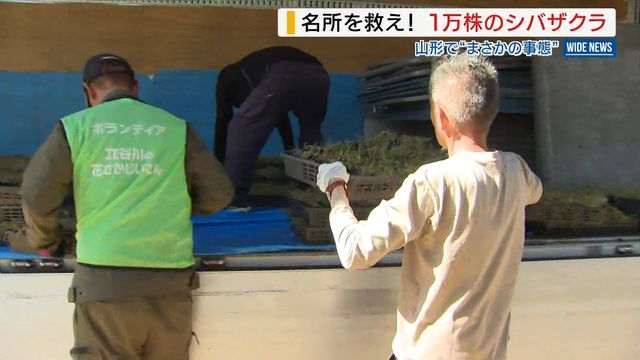 YBS山梨放送