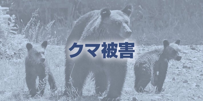 クマ被害